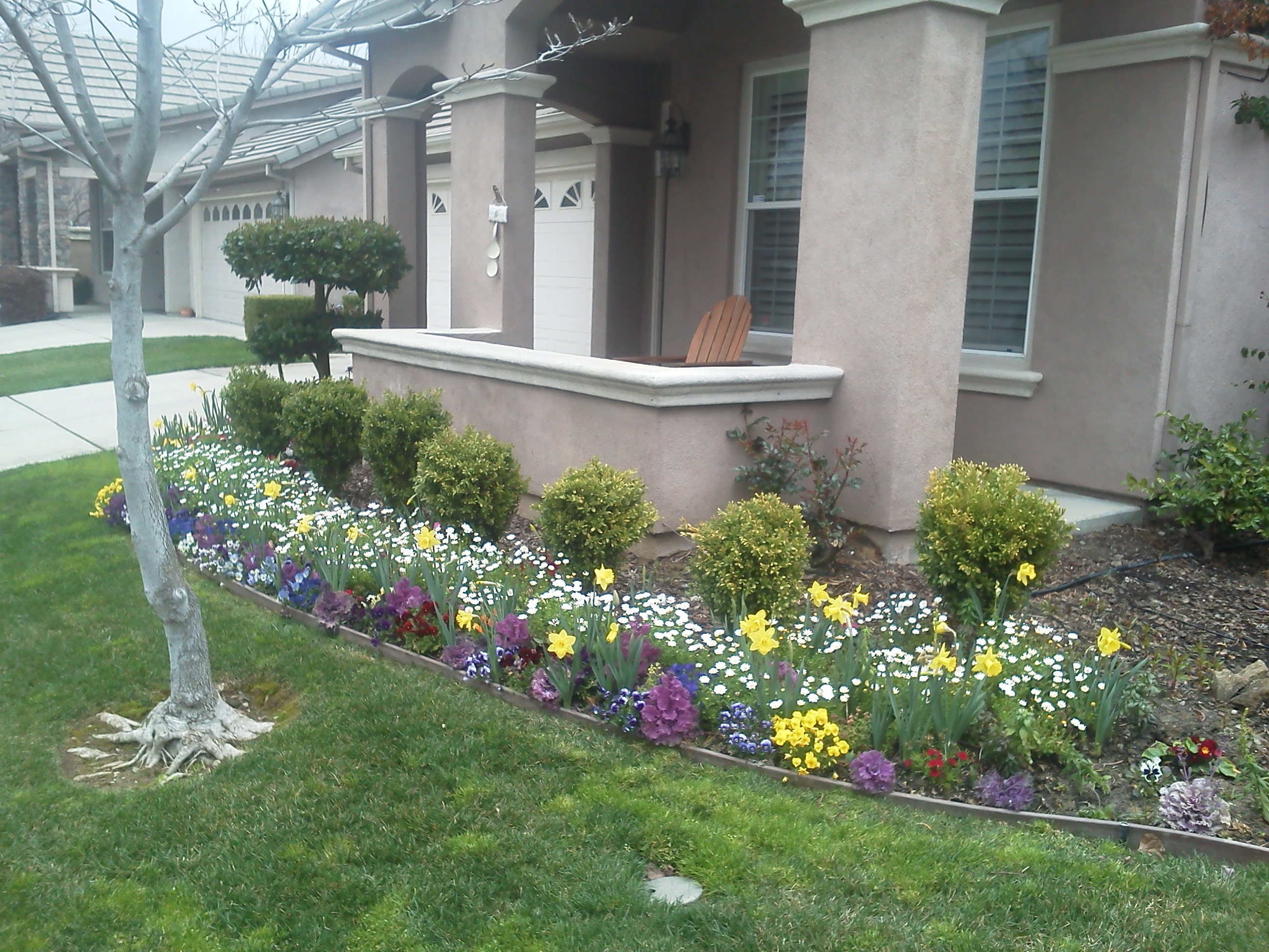 Fall & Winter Flower Beds Landscape Makeover Folsom & Sacramento