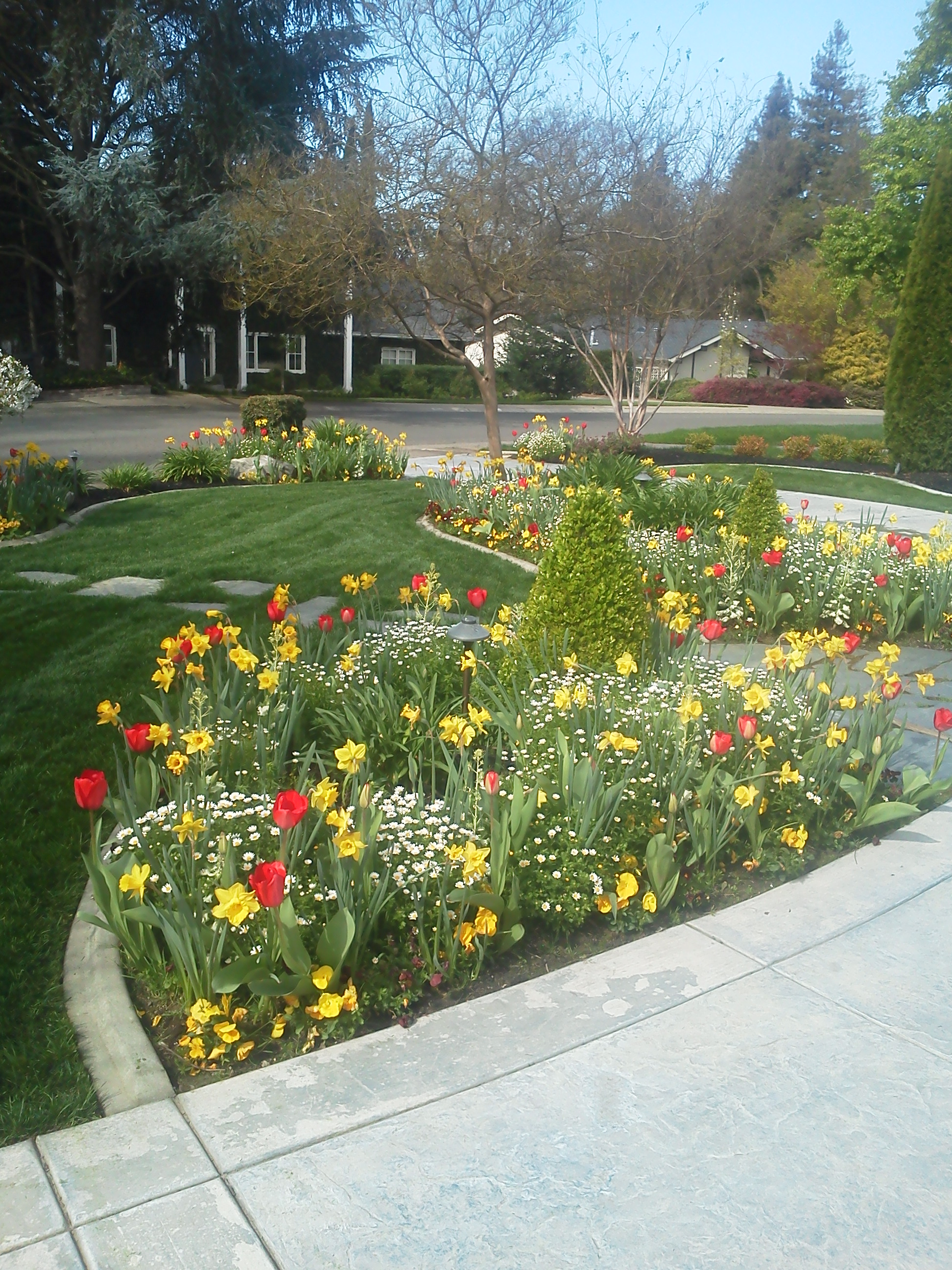 Fall & Winter Flower Beds Landscape Makeover Folsom & Sacramento