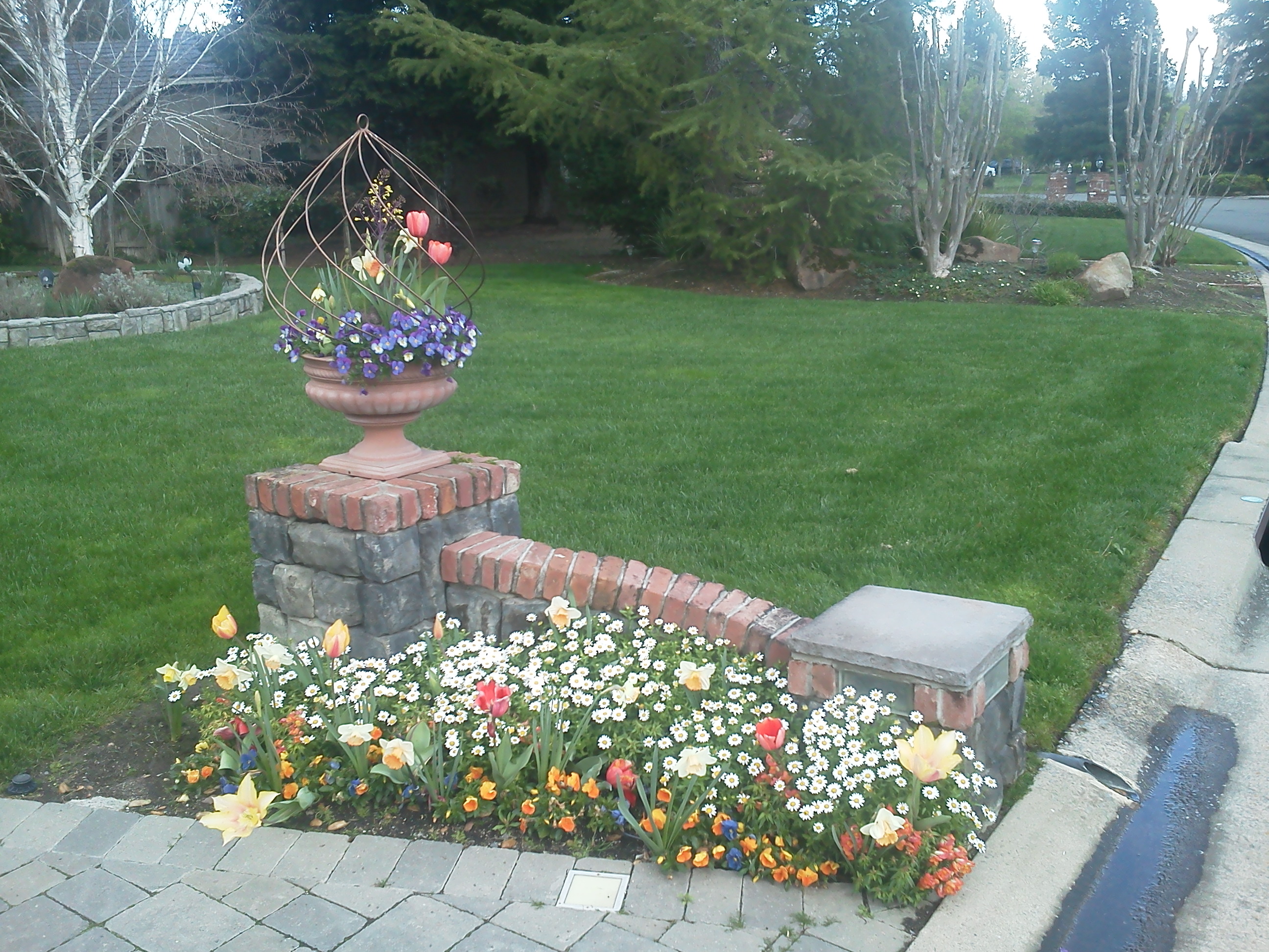 Fall & Winter Flower Beds Landscape Makeover Folsom & Sacramento