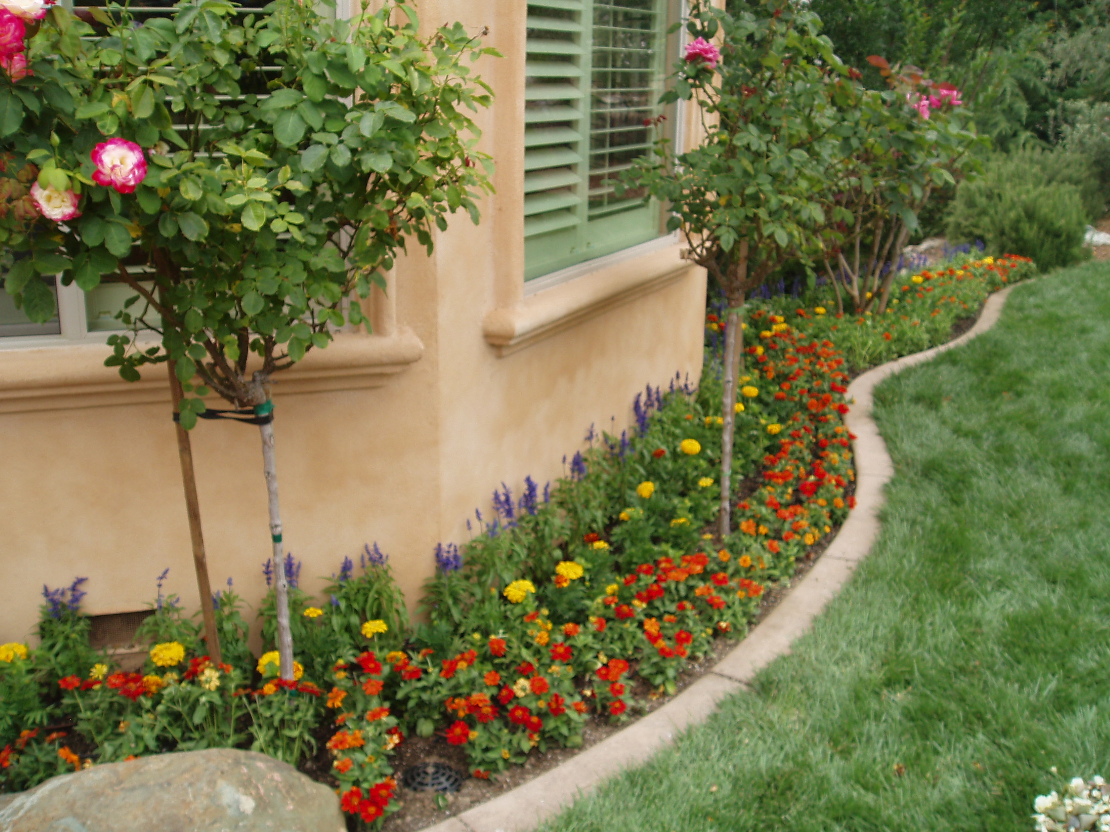 Spring & Summer Flower Beds Landscape Makeover Folsom & Sacramento
