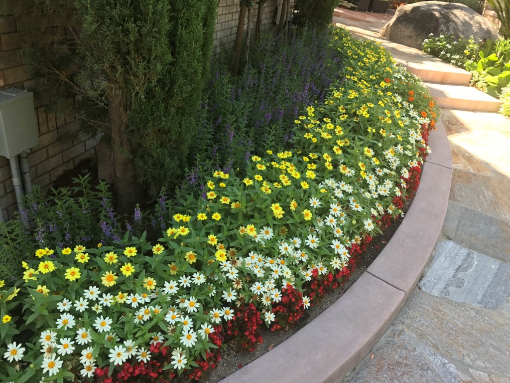 Spring & Summer Flower Beds Landscape Makeover Folsom & Sacramento